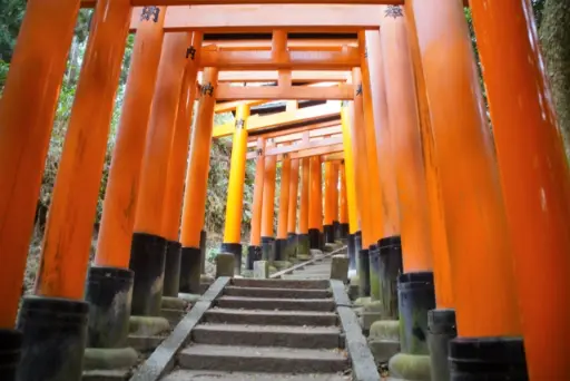 関西エリアで犬と一緒に参拝できるおすすめ神社と犬を守る神社の紹介