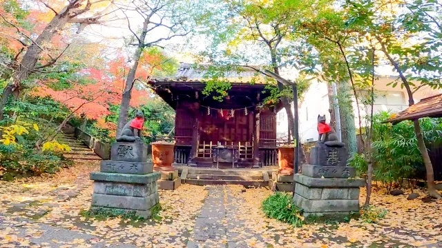 赤坂氷川神社のご利益と怖さの真相とは？