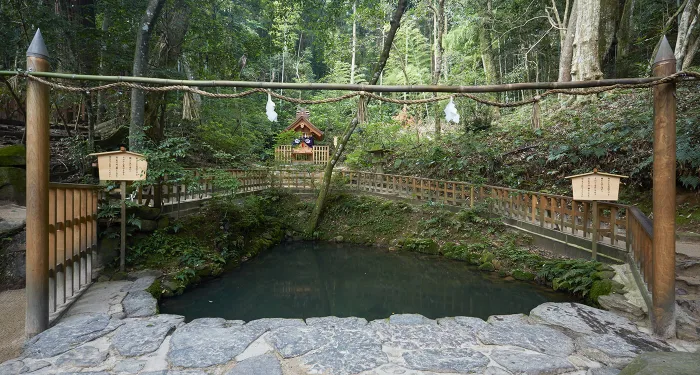 八重垣神社のスピリチュアルな魅力とは？