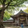 大山祇神社のスピリチュアルな魅力！ご利益とパワースポット巡り方