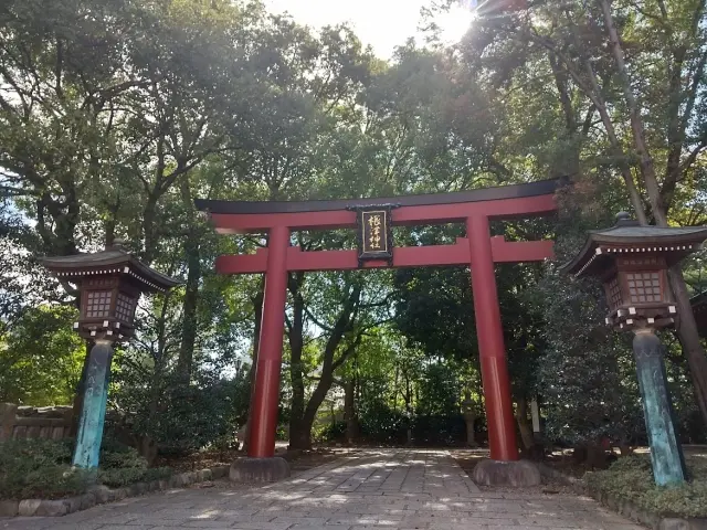 根津神社が怖い⁉を解消する参拝ガイド