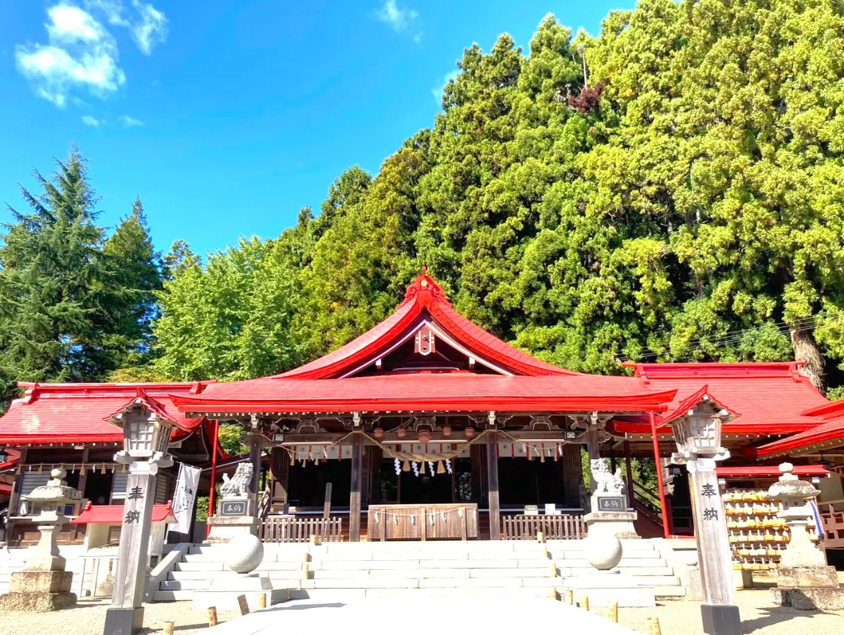 金蛇水神社の不思議とは？最強金運パワーの源泉とご利益を解明