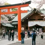 東京大神宮おみくじどれがいい？当たる種類とジンクスを徹底解説